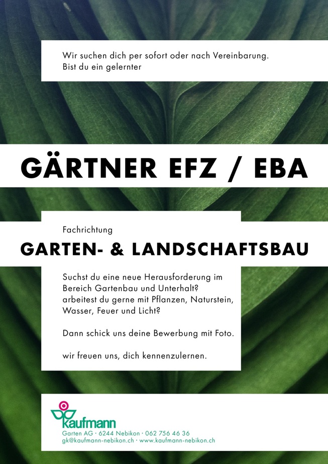 Stellenangebot
